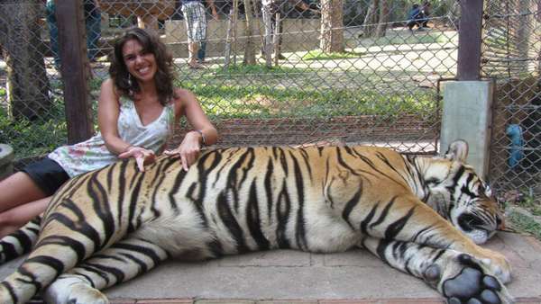 77 em Chiang Mai, na Tailândia