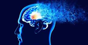 Foto: (iStock/Naeblys)