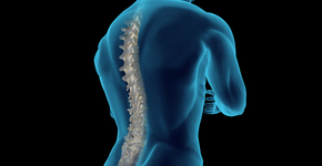 Foto: (iStock/ancroft)