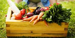 Enquete: Você é a favor de alimentos orgânicos na merenda escolar da rede pública?