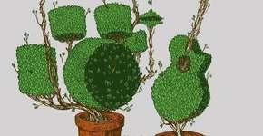 Foto: (Imagem sem texto alternativo disponivel ID [331556])