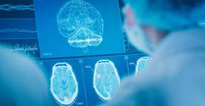 Foto: (yalax/istock)