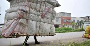 Foto: (Imagem sem texto alternativo disponivel ID [494038])