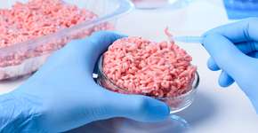 Empresa israelense cria 1ª carne do mundo feita em laboratório