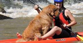 Foto: (Imagem sem texto alternativo disponivel ID [1868735])