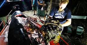 Baleia é encontrada morta com 40 kg de lixo plástico no estômago