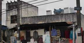 Vila Nova Cachoeirinha recebe curso gratuito de fotografia