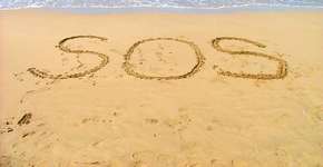 Foto: (Getty Images/iStockphoto)