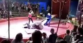 Foto: (Imagem sem texto alternativo disponivel ID [1620845])