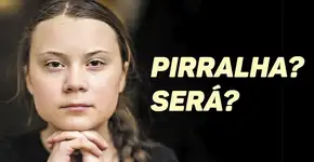 Greta Thunberg: pirralha para Bolsonaro, personalidade para Time