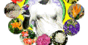 ESCOLA DAS DEUSAS – COACHING FEMININO