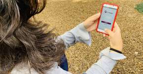 ‘Uber dos Resíduos’ ajuda a reciclar móveis, eletrodomésticos e mais