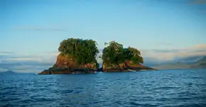 Foto: (Corona - Divulgação)