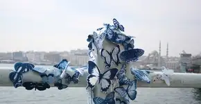 Borboletas azuis colorem as ruas do mundo, nos 7 continente