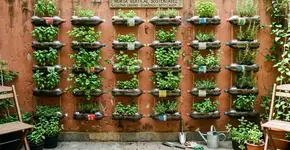 Como criar uma horta caseira de baixo custo com materiais reciclados, de forma fácil e econômica