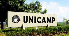 Unicamp: 15 cursos online gratuitos para começar agora