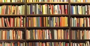 Foto: (Imagem sem texto alternativo disponivel ID [1869438])