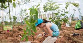 Crianças brincam e plantam árvores em mutirões por São Paulo
