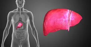 Câncer no fígado ou indigestão? Conheça semelhança dos sintomas