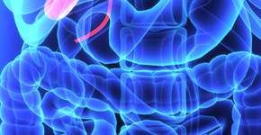 Sintomas do câncer de vesícula biliar que podem passar despercebidos