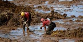 Foto: (Imagem sem texto alternativo disponivel ID [1848756])