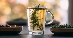 Alecrim faz bem para a memória; saiba como consumir