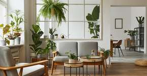 Foto: (Imagem sem texto alternativo disponivel ID [2594164])