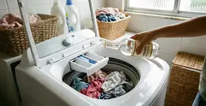 Foto: (Imagem sem texto alternativo disponivel ID [2787751])