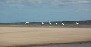Roteiros turísticos oferecem experiências únicas no Pará