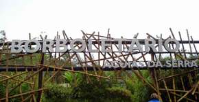 Foto: (Imagem sem texto alternativo disponivel ID [822901])