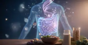 Probióticos fortalecem imunidade e equilibram o humor