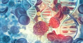 Foto: (Mohammed Haneefa Nizamudeen/istock)