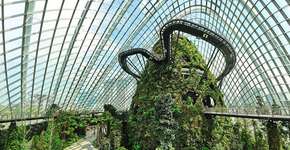 “Urban Farms” revitalizam centros urbanos ao redor do planeta