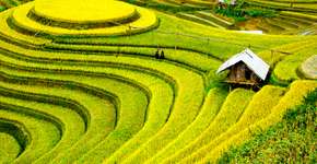 Foto: (Imagem sem texto alternativo disponivel ID [1845065])