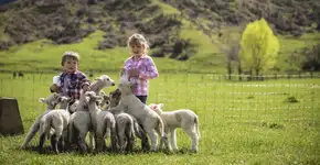 Foto: (Miles Holden/Tourism New Zealand)