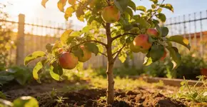 Foto: (Imagem sem texto alternativo disponivel ID [2705011])