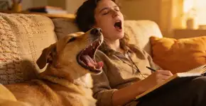 Foto: (Imagem sem texto alternativo disponivel ID [2704607])