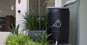 Foto: (Imagem sem texto alternativo disponivel ID [1603507])