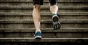 Foto: (Imagem sem texto alternativo disponivel ID [2425685])