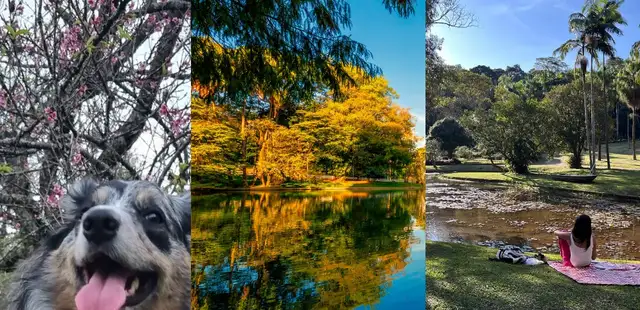 8 passeios ao ar livre para curtir com as crianças em SP