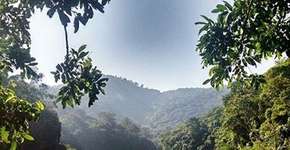 Açude do Camorim: um encontro na Amazônia carioca