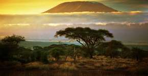 Foto: (Imagem sem texto alternativo disponivel ID [1394297])