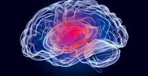 Foto: (AlexLMX/istock)