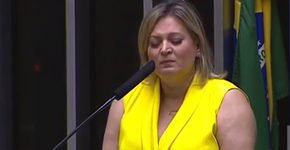 Atacada pela milícia de Bolsonaro, Joice Hasselmann chora pelos filhos