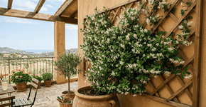 Foto: (Imagem sem texto alternativo disponivel ID [2766663])