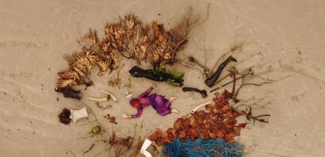 Ocupação ‘Anexa_CCBB: Movimentos Miméticos’