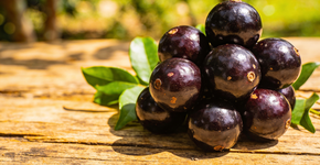 Foto: (Imagem sem texto alternativo disponivel ID [2726566])