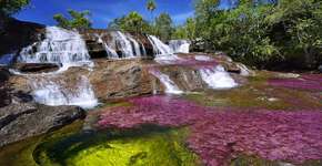 Foto: (Imagem sem texto alternativo disponivel ID [582246])