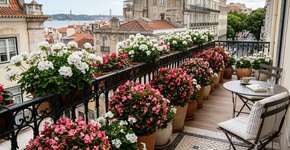 Os pombos não suportam isso: eles vão parar de pousar nas suas varandas e peitoris de janelas.