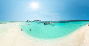 Foto: (Divulgação)